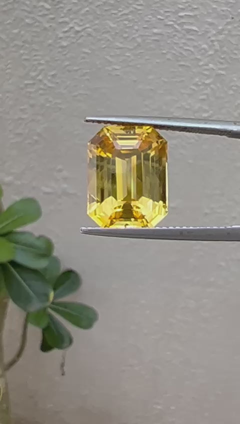 Natural Yellow Sapphire Unheated 9. 48ct