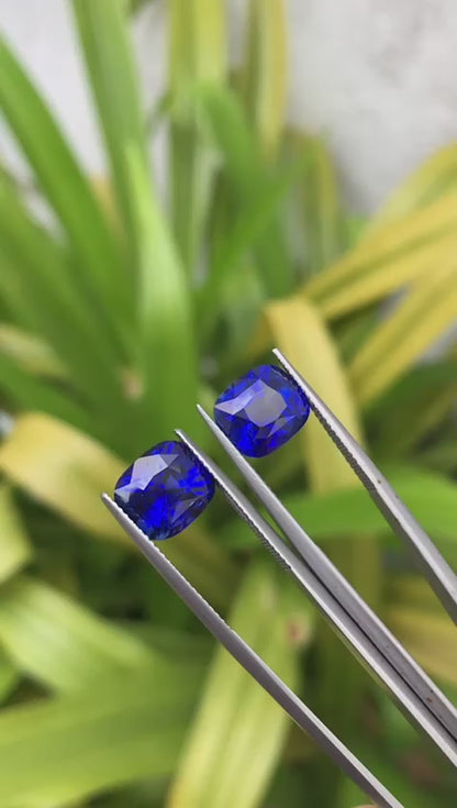 Blue Sapphire pair Intense royal blue colour Radiant cushion cut 12.58ct